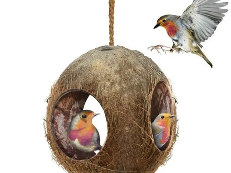 Sheel Bird Feeder