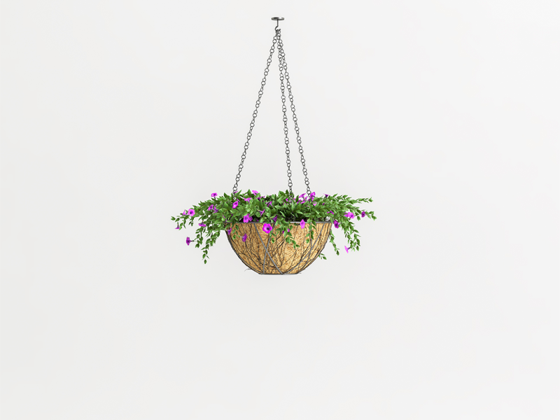 plant coir hang